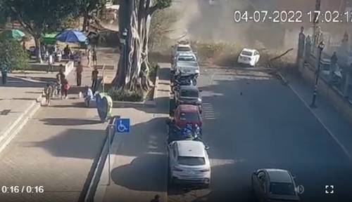 Video: Se derrumba árbol justo sobre dos autos